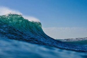 South Beach Surf Report | Learn to Surf & Skate: A Beginner's Step-by-Step Guide