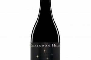 Best Skate Shop in Clarendon Hills: Gear & More! Learn to Surf & Skate: A Beginner's Step-by-Step Guide Best Skate Shop in Clarendon Hills: Gear & More! | Learn to Surf & Skate: A Beginner's Step-by-Step Guide