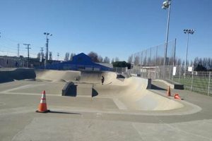 Your Guide to Berkeley Skate Park Fun: Tips & More Learn to Surf & Skate: A Beginner's Step-by-Step Guide Your Guide to Berkeley Skate Park Fun: Tips & More | Learn to Surf & Skate: A Beginner's Step-by-Step Guide