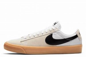 Best Nike SB Blazer Low Pro GT Skate Shoes [Review] | Learn to Surf & Skate: A Beginner's Step-by-Step Guide