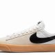 Best Nike SB Blazer Low Pro GT Skate Shoes [Review] | Learn to Surf & Skate: A Beginner's Step-by-Step Guide