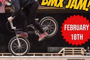 Visit Black Mamba Skate Park: Thrills & Skills! | Learn to Surf & Skate: A Beginner's Step-by-Step Guide