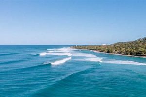 Your Guide to Rincon Beach Surf Paradise Learn to Surf & Skate: A Beginner's Step-by-Step Guide Your Guide to Rincon Beach Surf Paradise | Learn to Surf & Skate: A Beginner's Step-by-Step Guide