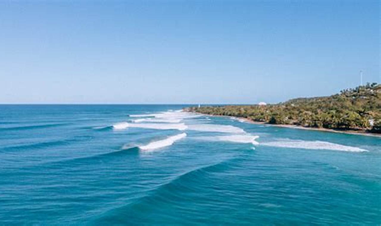 Your Guide to Rincon Beach Surf Paradise Learn to Surf & Skate: A Beginner's Step-by-Step Guide Your Guide to Rincon Beach Surf Paradise | Learn to Surf & Skate: A Beginner's Step-by-Step Guide