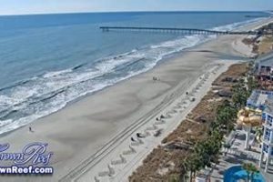 Oak Island Surf Cam: See the Waves & Conditions LIVE | Learn to Surf & Skate: A Beginner's Step-by-Step Guide