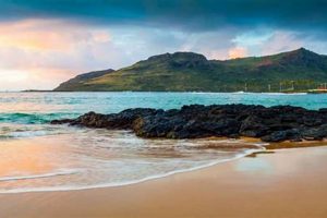 Lihue Surf Cam: Kauai Waves + Live Conditions Learn to Surf & Skate: A Beginner's Step-by-Step Guide Lihue Surf Cam: Kauai Waves + Live Conditions | Learn to Surf & Skate: A Beginner's Step-by-Step Guide