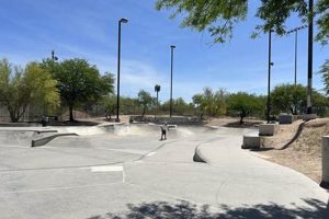 Discover: Purple Heart Skate Park for All Skill Levels | Learn to Surf & Skate: A Beginner's Step-by-Step Guide
