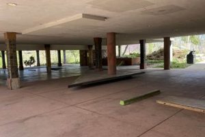 Your Local Satellite Skate Shop Boulder HQ | Learn to Surf & Skate: A Beginner's Step-by-Step Guide