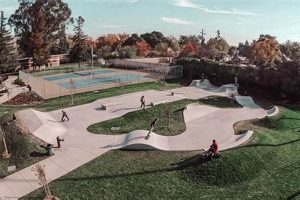 Best Skate Parks in SF: Your Ultimate Guide Learn to Surf & Skate: A Beginner's Step-by-Step Guide Best Skate Parks in SF: Your Ultimate Guide | Learn to Surf & Skate: A Beginner's Step-by-Step Guide