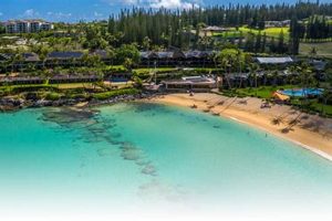Your Guide to Napili Surf Beach: Waves & Bliss Learn to Surf & Skate: A Beginner's Step-by-Step Guide Your Guide to Napili Surf Beach: Waves & Bliss | Learn to Surf & Skate: A Beginner's Step-by-Step Guide