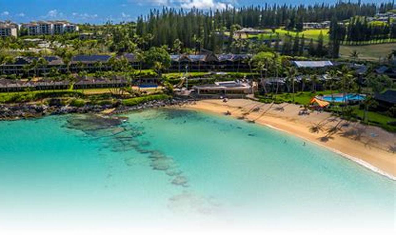 Your Guide to Napili Surf Beach: Waves & Bliss Learn to Surf & Skate: A Beginner's Step-by-Step Guide Your Guide to Napili Surf Beach: Waves & Bliss | Learn to Surf & Skate: A Beginner's Step-by-Step Guide