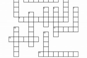 Sk8 Park Jump Crossword Puzzles &amp; Fun! | Learn to Surf & Skate: A Beginner's Step-by-Step Guide