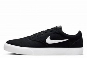 Buy Nike SB Charge Solarsoft: Best Skate Shoes! Learn to Surf & Skate: A Beginner's Step-by-Step Guide Buy Nike SB Charge Solarsoft: Best Skate Shoes! | Learn to Surf & Skate: A Beginner's Step-by-Step Guide