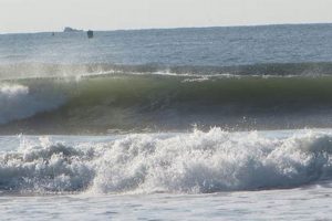 Your Narragansett Surf Report Now: Conditions & Waves | Learn to Surf & Skate: A Beginner's Step-by-Step Guide
