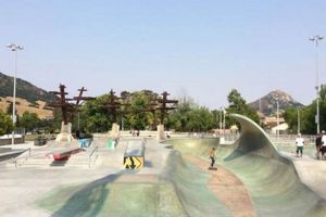Explore San Luis Obispo Skate Park: Your Ultimate Guide! | Learn to Surf & Skate: A Beginner's Step-by-Step Guide