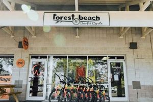 Forest Beach Surf & Cycle: Your Coastal Adventure Guide Learn to Surf & Skate: A Beginner's Step-by-Step Guide Forest Beach Surf & Cycle: Your Coastal Adventure Guide | Learn to Surf & Skate: A Beginner's Step-by-Step Guide