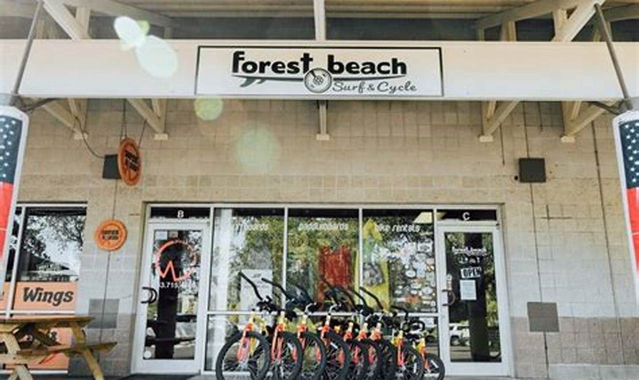 Forest Beach Surf & Cycle: Your Coastal Adventure Guide Learn to Surf & Skate: A Beginner's Step-by-Step Guide Forest Beach Surf & Cycle: Your Coastal Adventure Guide | Learn to Surf & Skate: A Beginner's Step-by-Step Guide