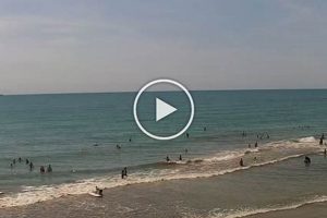 Your Cocoa Beach Surf Report: [Date] Conditions & More! | Learn to Surf & Skate: A Beginner's Step-by-Step Guide