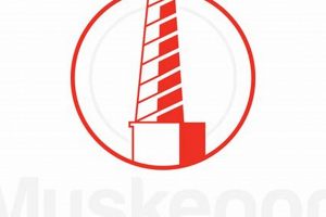 Live Muskegon Surf Cam: Wave Watch + Forecast | Learn to Surf & Skate: A Beginner's Step-by-Step Guide