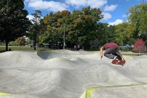 Ferndale Skate Park: Your Local Skate Spot + Tips | Learn to Surf & Skate: A Beginner's Step-by-Step Guide