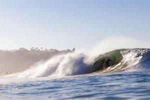 Your Malibu Surf Report Zuma: Conditions & Forecast | Learn to Surf & Skate: A Beginner's Step-by-Step Guide