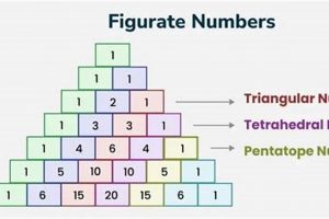 Learn Figurate Skate: Techniques & Precision | Learn to Surf & Skate: A Beginner's Step-by-Step Guide
