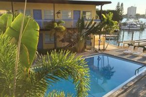 Clearwater Beach: Surf N Sand Motel - Your Beach Getaway! | Learn to Surf & Skate: A Beginner's Step-by-Step Guide