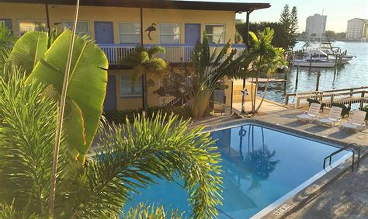 Clearwater Beach: Surf N Sand Motel - Your Beach Getaway! | Learn to Surf & Skate: A Beginner's Step-by-Step Guide