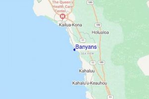 Banyans Surf Report: Today's Conditions &amp; Forecasts | Learn to Surf & Skate: A Beginner's Step-by-Step Guide