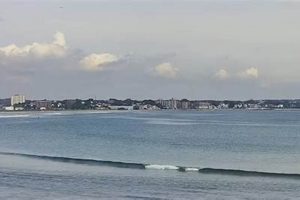 Live Nahant Surf Cam: MA Surf Report & Conditions | Learn to Surf & Skate: A Beginner's Step-by-Step Guide