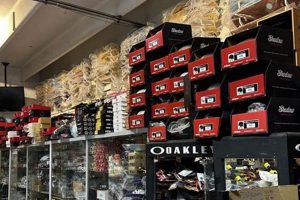 Shop Avalanche Skate Shop Gear: Boards &amp; More! | Learn to Surf & Skate: A Beginner's Step-by-Step Guide