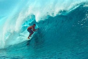 Your Hawaii Surfing Report: Waves, Forecasts & More! | Learn to Surf & Skate: A Beginner's Step-by-Step Guide