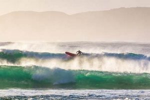 Accurate Surf Forecast Ocean Beach, SF + Tips | Learn to Surf & Skate: A Beginner's Step-by-Step Guide