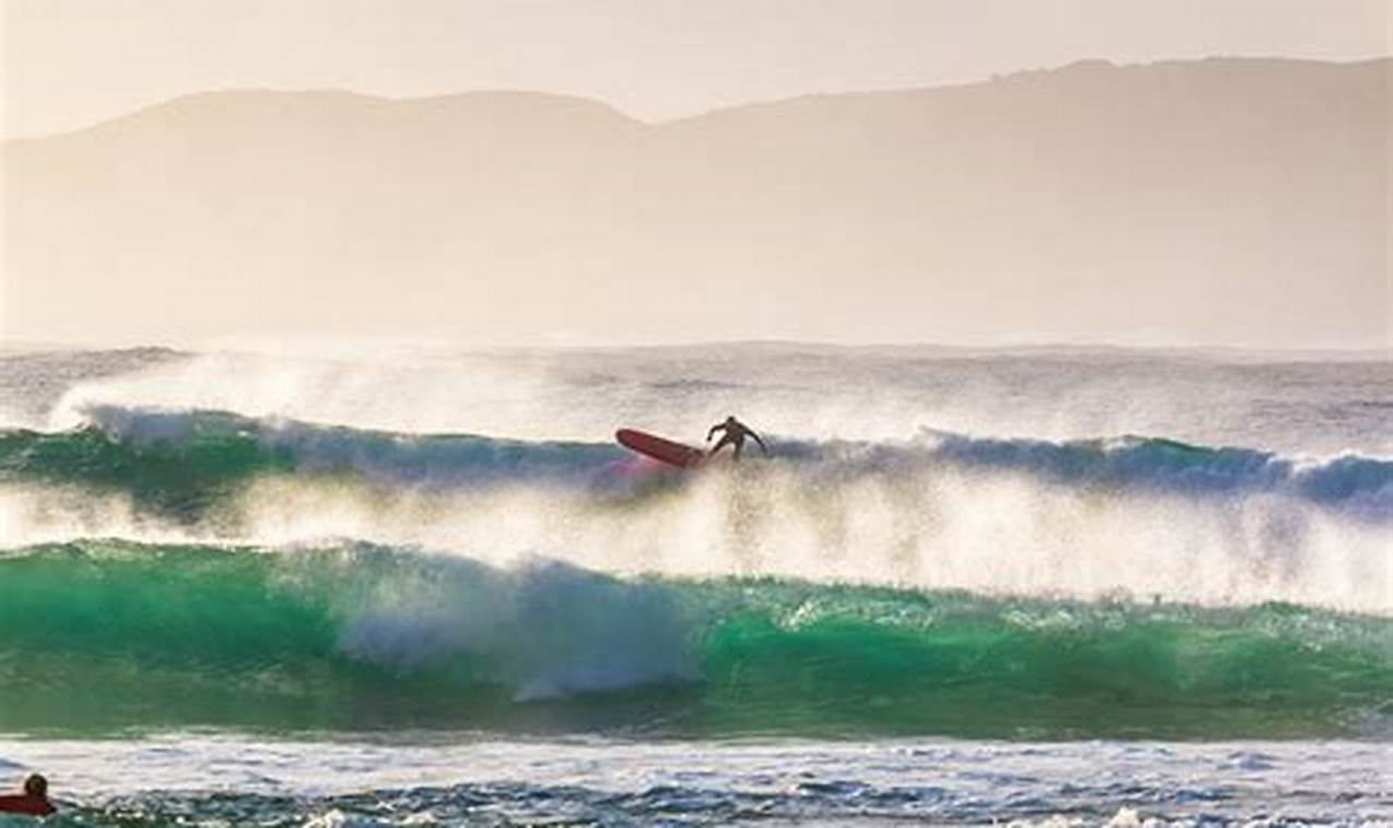 Accurate Surf Forecast Ocean Beach, SF + Tips | Learn to Surf & Skate: A Beginner's Step-by-Step Guide