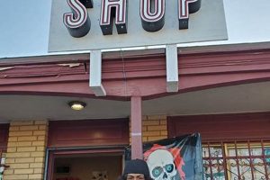 The Rise Above Skate Shop: Gear & More! | Learn to Surf & Skate: A Beginner's Step-by-Step Guide