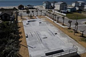 Your Guide to Kevin Bell Skate Park Fun + Tips | Learn to Surf & Skate: A Beginner's Step-by-Step Guide