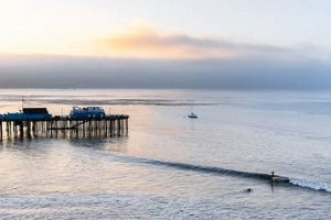 Capitola Surf Cam: Live Beach Conditions & Web Surf | Learn to Surf & Skate: A Beginner's Step-by-Step Guide