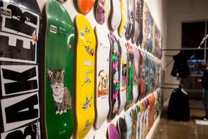 Shop Blue Flowers Skate Shop: Decks & More! | Learn to Surf & Skate: A Beginner's Step-by-Step Guide