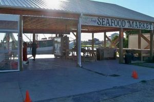 Your Guide: Fresh Seafood Market Surf City, NC Deals! | Learn to Surf & Skate: A Beginner's Step-by-Step Guide