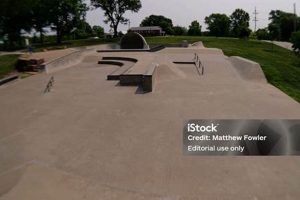 Explore Swarner Skate Park: Tricks, Tips & More! | Learn to Surf & Skate: A Beginner's Step-by-Step Guide