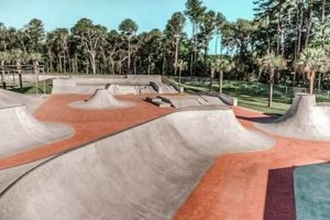 Your Guide to Georgia Skate Parks: Best Spots & More | Learn to Surf & Skate: A Beginner's Step-by-Step Guide