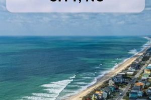 Discover: Surf City Originals Art + More Learn to Surf & Skate: A Beginner's Step-by-Step Guide Discover: Surf City Originals Art + More | Learn to Surf & Skate: A Beginner's Step-by-Step Guide