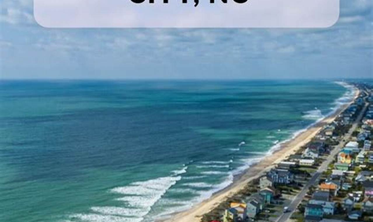 Discover: Surf City Originals Art + More | Learn to Surf & Skate: A Beginner's Step-by-Step Guide