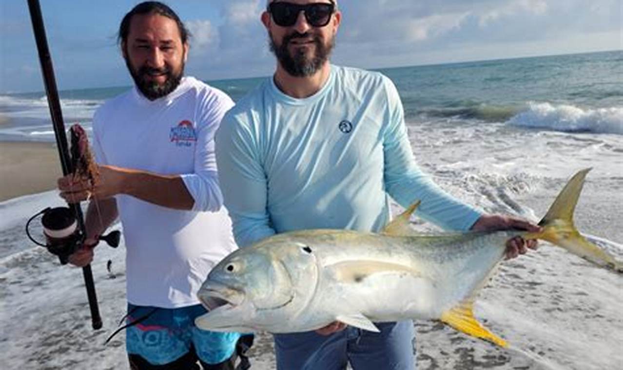 Your Melbourne Beach Surf Report: Florida Waves Now! | Learn to Surf & Skate: A Beginner's Step-by-Step Guide
