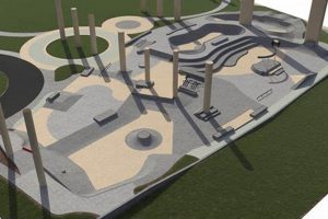 Pensacola FL Skate Park Guide: Find Your Ride! | Learn to Surf & Skate: A Beginner's Step-by-Step Guide