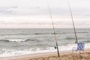 Latest Surf Fishing Report Outer Banks NC Tips & Tricks! | Learn to Surf & Skate: A Beginner's Step-by-Step Guide