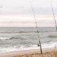 Latest Surf Fishing Report Outer Banks NC Tips & Tricks! | Learn to Surf & Skate: A Beginner's Step-by-Step Guide