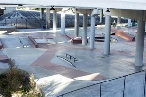 Best Skate Parks in Miami: Local Spots &amp; More! | Learn to Surf & Skate: A Beginner's Step-by-Step Guide