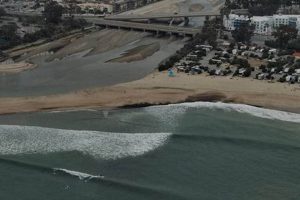 Doheny Surf Cam: Watch Live Conditions, Surf's Up? | Learn to Surf & Skate: A Beginner's Step-by-Step Guide