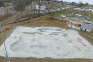 Visit Hal & Berni Hanson Park Skate Park: Skate, Fun, & More! | Learn to Surf & Skate: A Beginner's Step-by-Step Guide